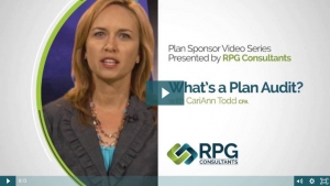Whats a Plan Audit